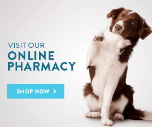online_pharmacy