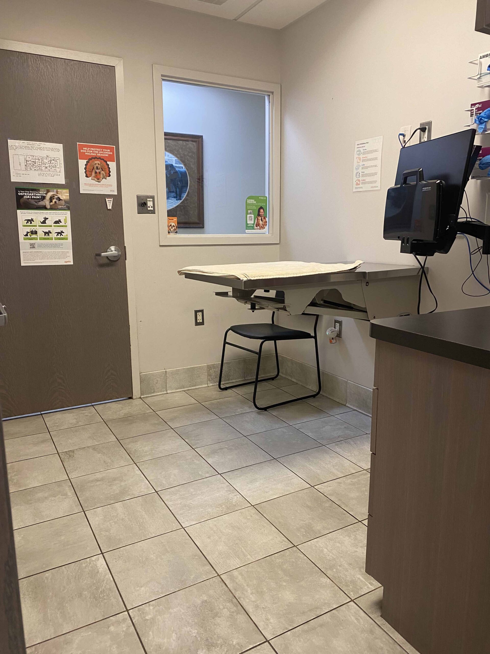 Dog Exam Room