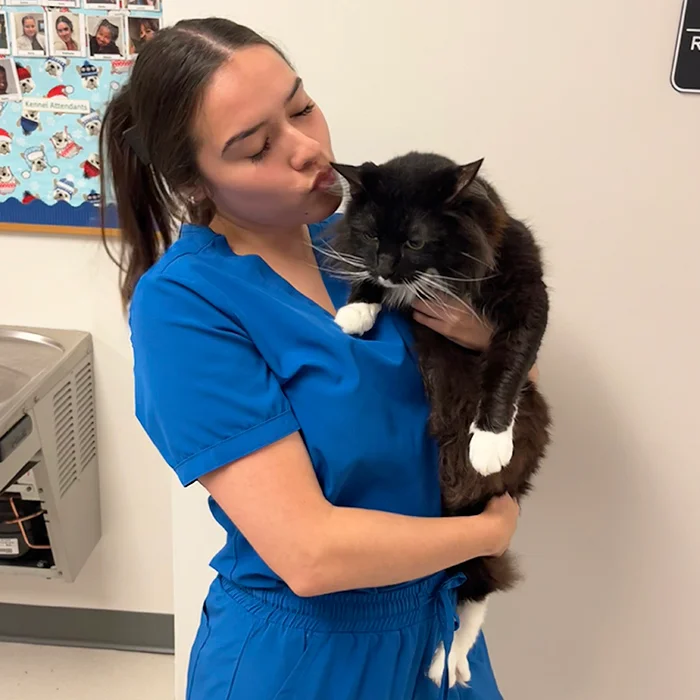 Stephanie holding a black and white cat, giving it a kiss on the head.